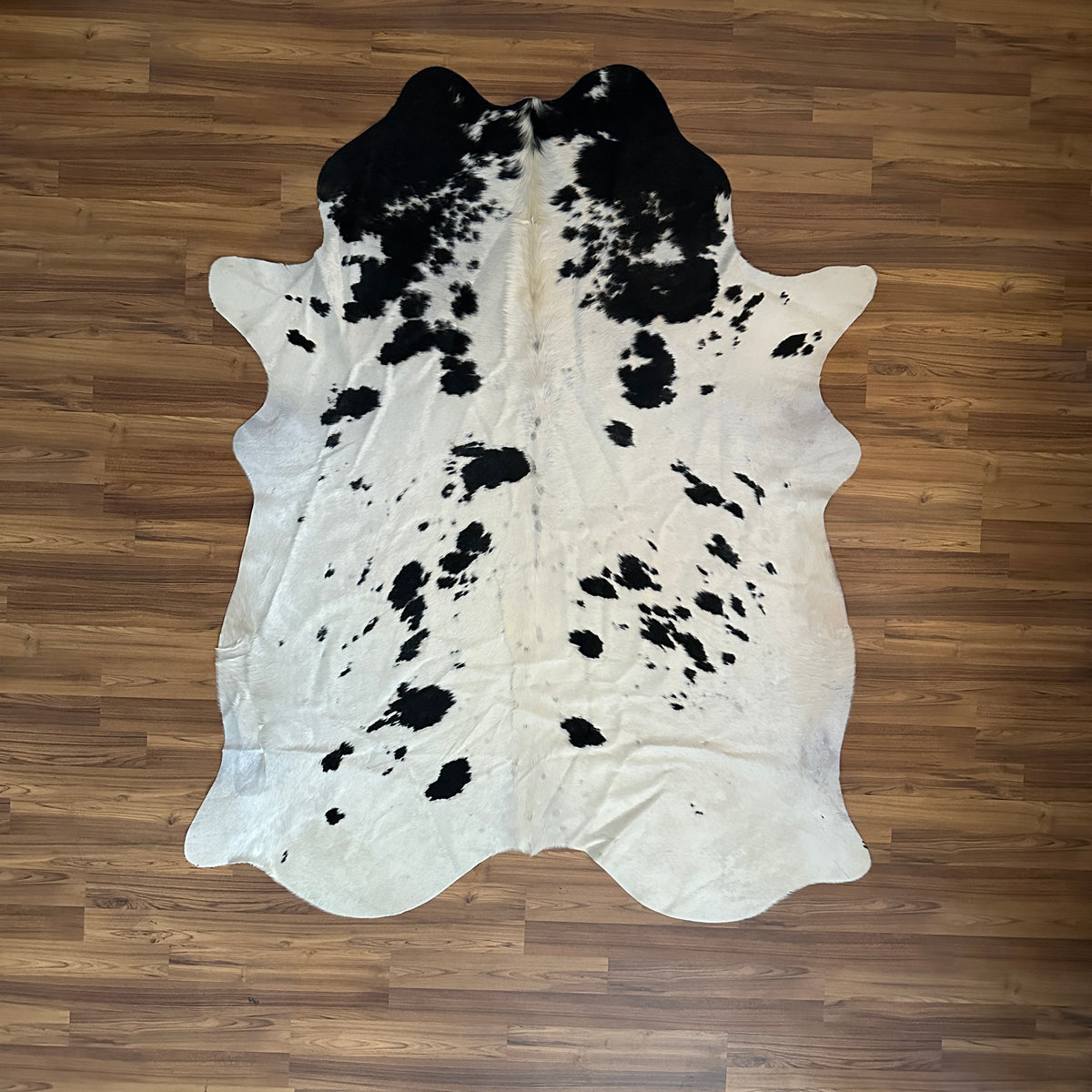Black and White cowhide rug, full overhead view — Large irregular black patches scattered over white cream base