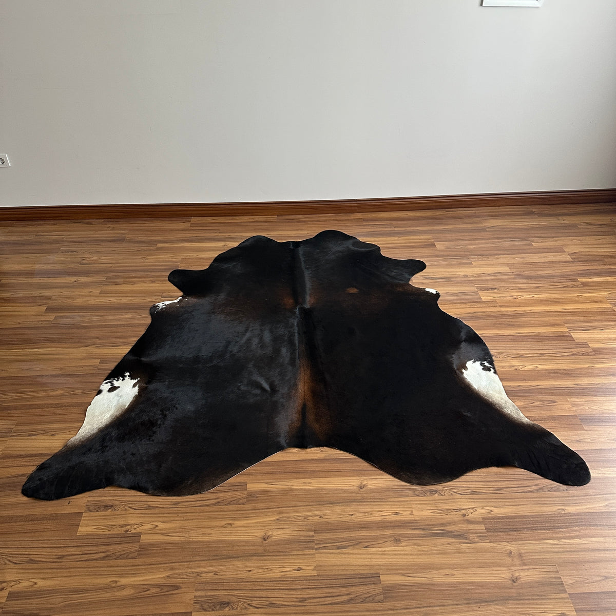 Black and White cowhide rug, full overhead view — Large irregular black patches with white markings on hooves and lower legs