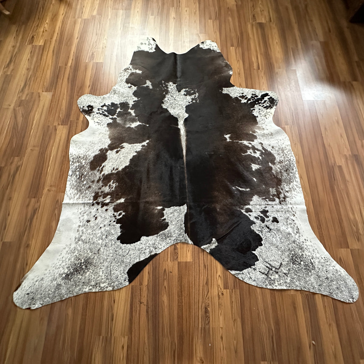 Black and White cowhide rug, full overhead view — Large irregular dark brown and black patches over cream and white base