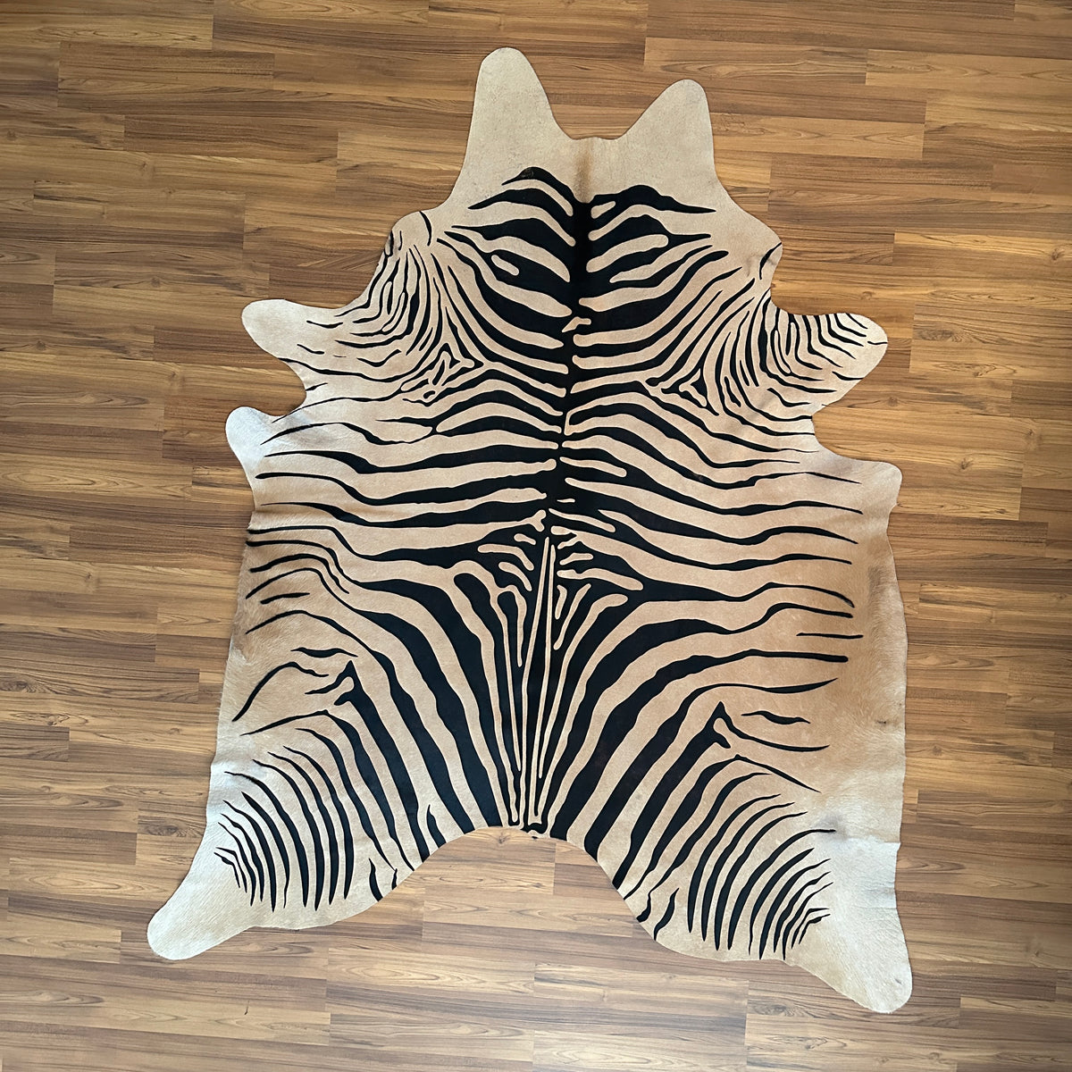 Black and White zebra print cowhide rug, full overhead view — Bold black stripes radiating from center over cream-white base