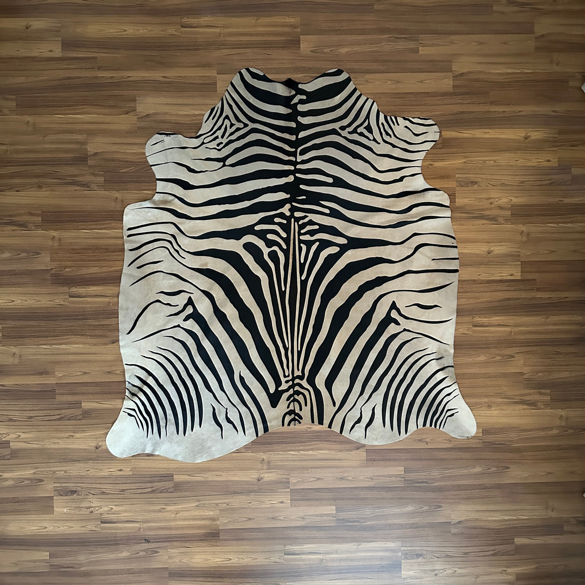 Black and White zebra print cowhide rug, full overhead view — Bold black stripes radiating from center over cream-white base,