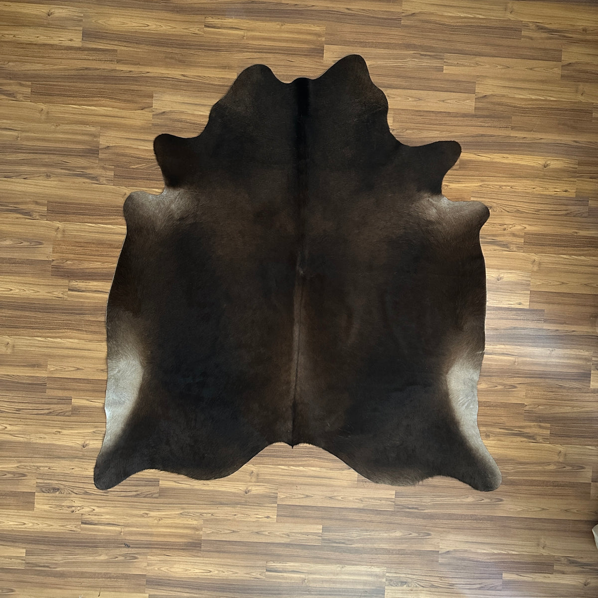 Black and White cowhide rug, full overhead view — Large irregular dark brown-black patches over cream and white base with nat