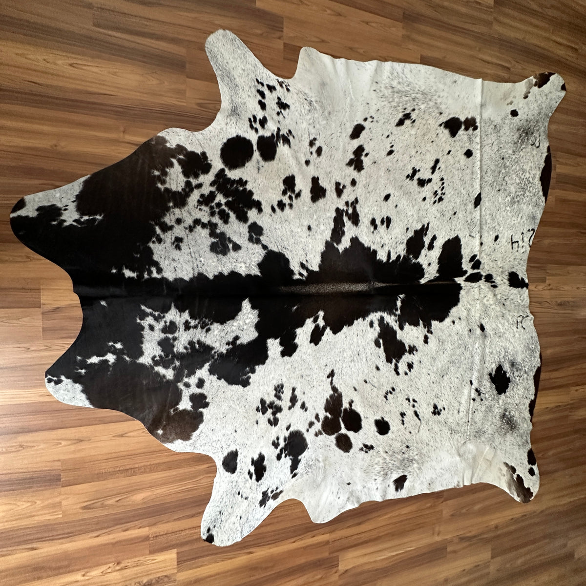 Black and White cowhide rug, full overhead view — Large irregular black patches and speckles over white cream base
