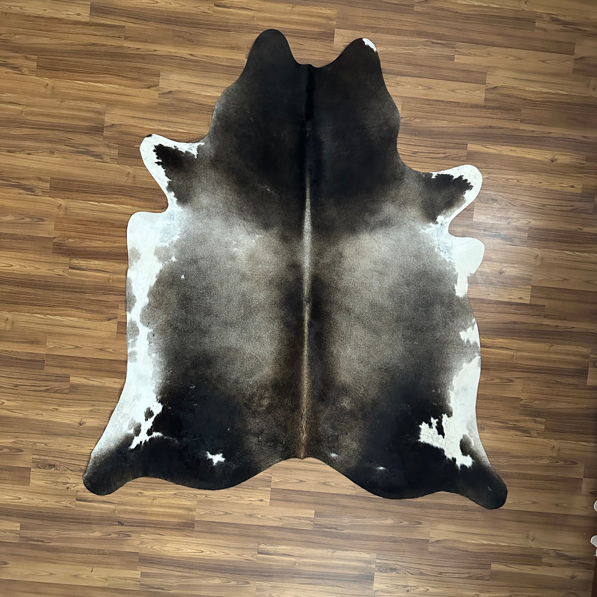 Black and White cowhide rug, full overhead view — Large irregular dark patches with white undersides and cream transitional z