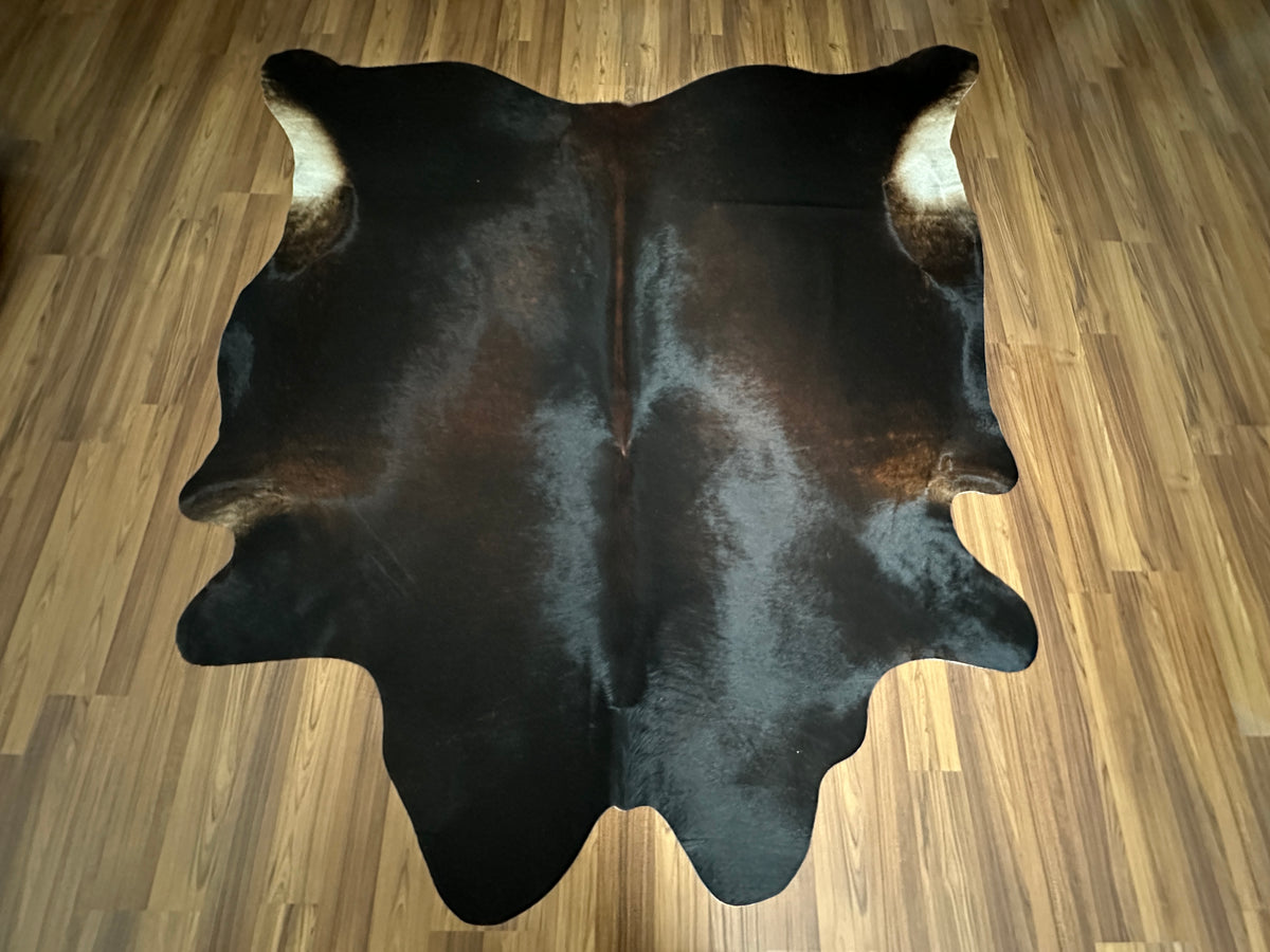Black and White cowhide rug, full overhead view — Large irregular dark brown-black patches with cream and tan undertones over