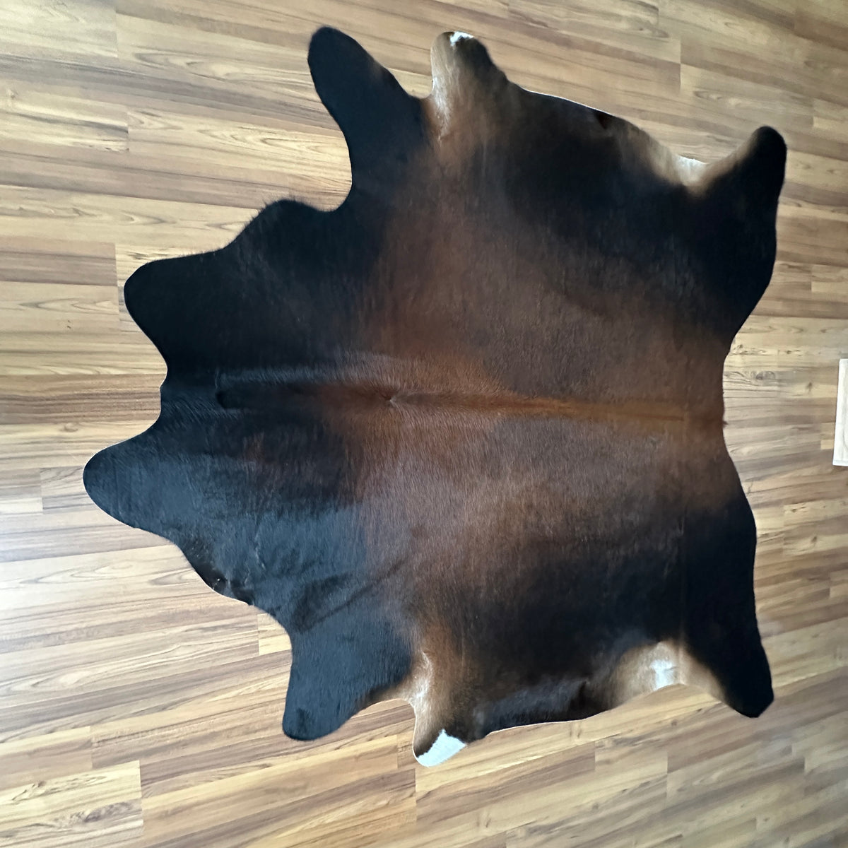 Black and White cowhide rug, full overhead view