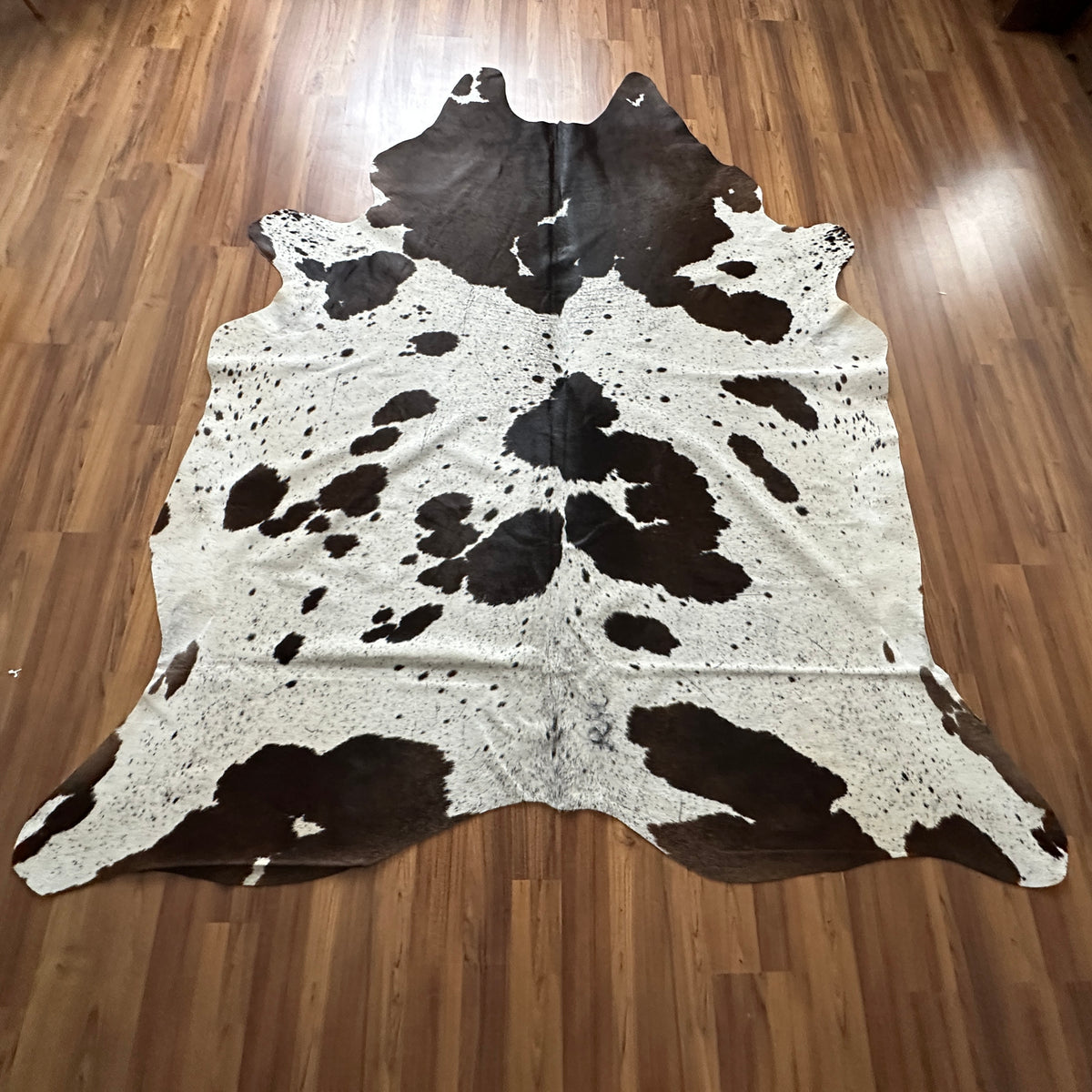 Black and White cowhide rug, full overhead view — Large irregular black patches and spots over cream and white base