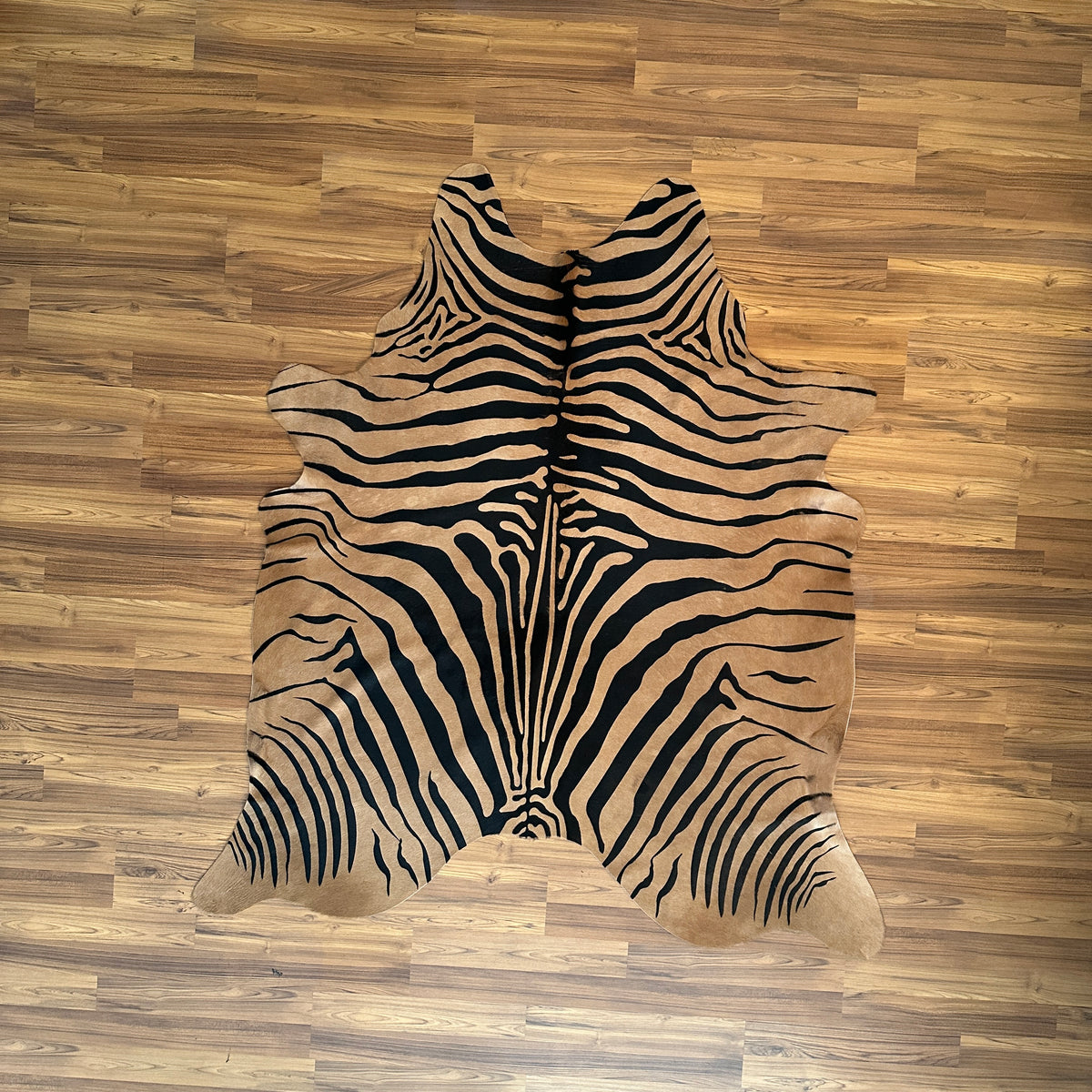 Black and White zebra print cowhide rug, full overhead view — Bold black stripes radiating from center over cream and tan bas