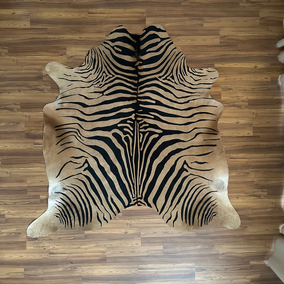 Black and White zebra print cowhide rug, full overhead view — Bold black stripes radiating from center spine over cream-white