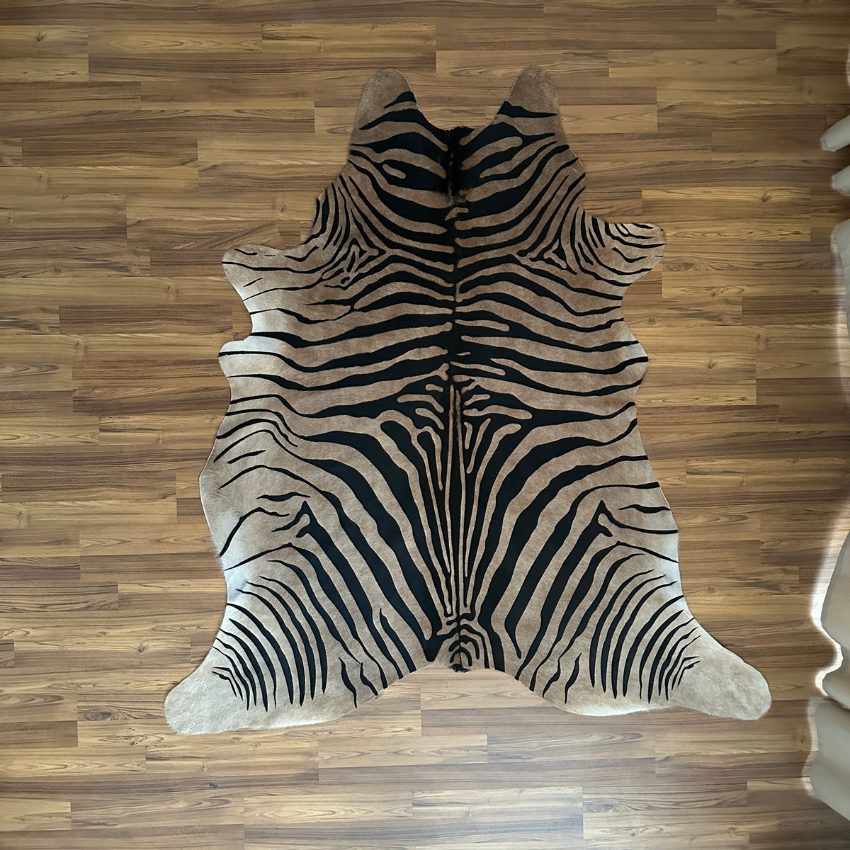 Black and White zebra print cowhide rug, full overhead view — Bold zebra stripes radiating from center, dark striping over cr