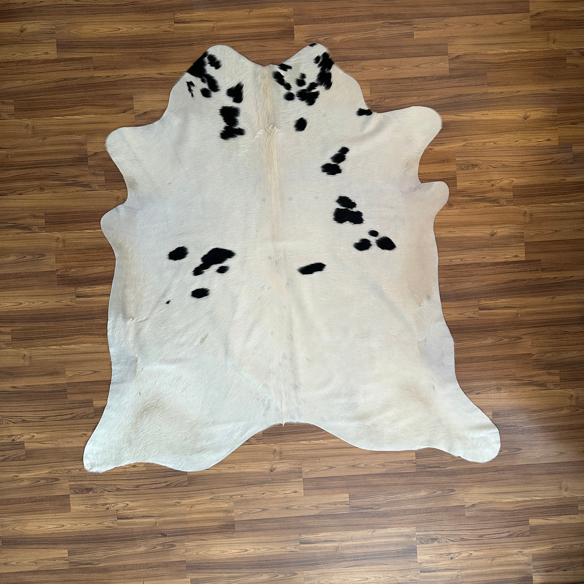 Black and White cowhide rug, full overhead view — Large irregular black patches scattered across cream-white base
