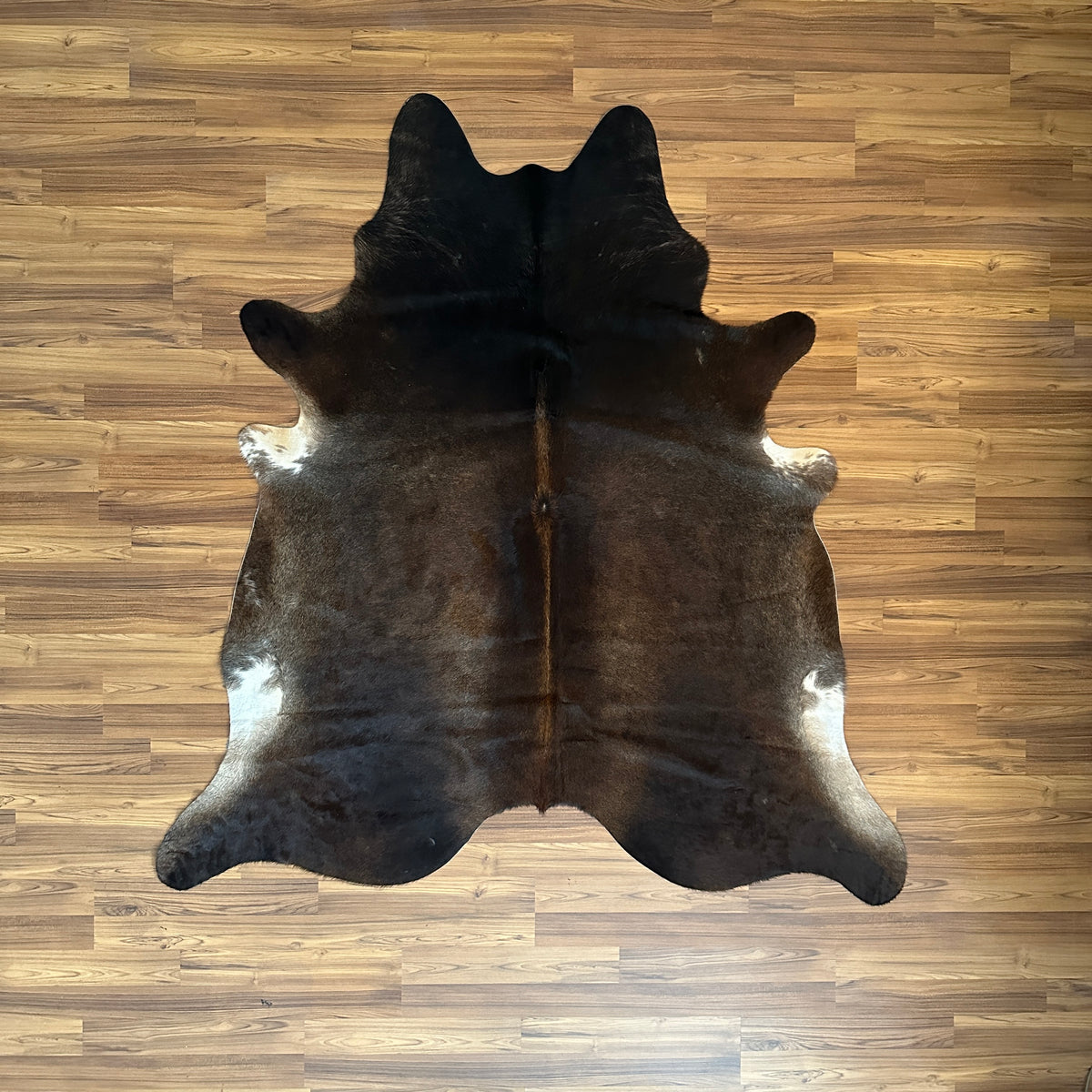 Black and White cowhide rug, full overhead view — Large irregular dark brown patches with white markings on sides and lower b