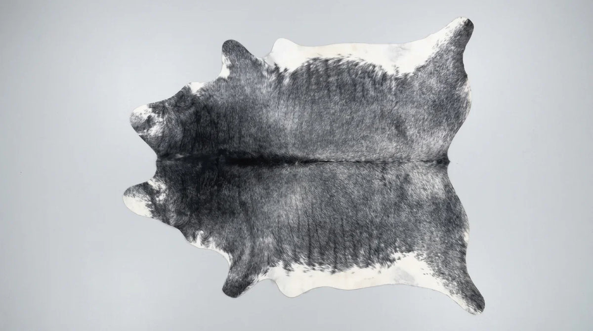 Black and White cowhide rug flat lay on white background showing full hide shape