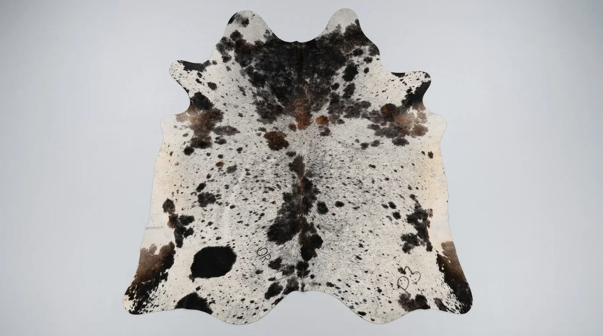 Black and White cowhide rug flat lay on white background showing full hide shape
