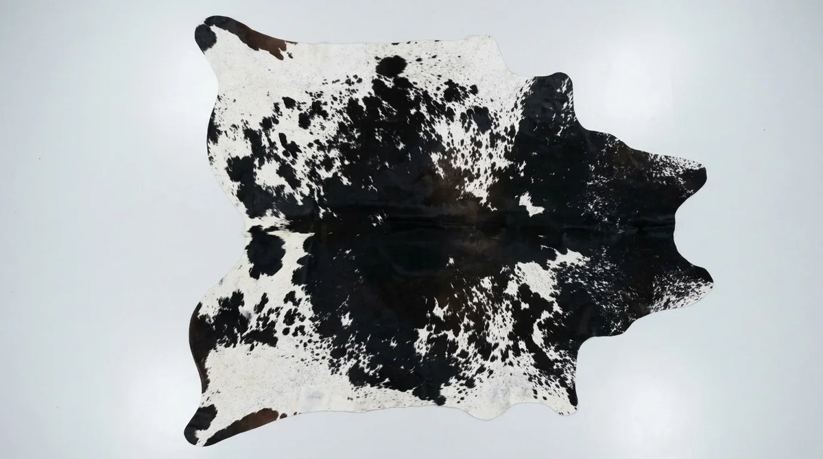 Black and White cowhide rug flat lay on white background showing full hide shape