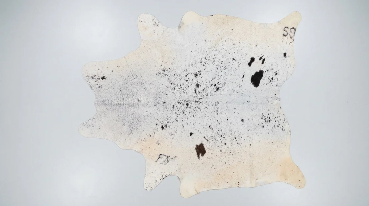 Black and White cowhide rug flat lay on white background showing full hide shape