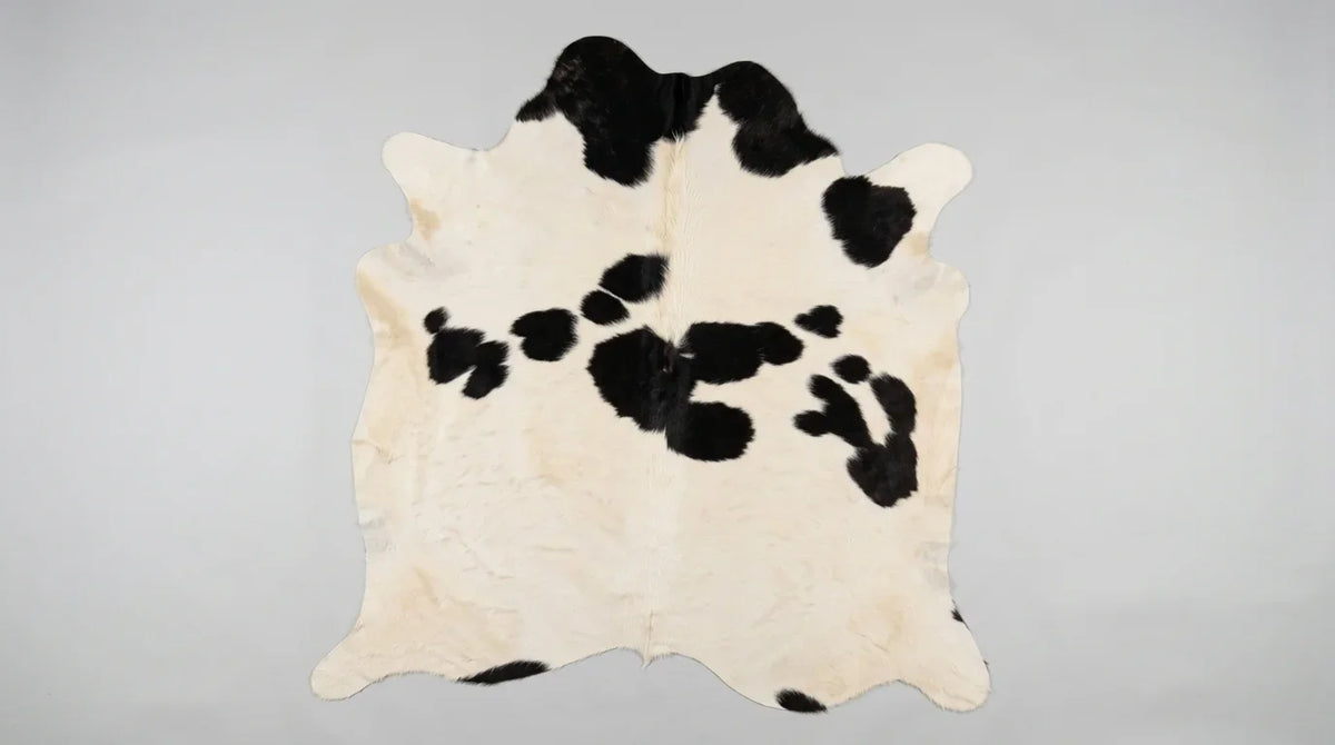Black and White cowhide rug flat lay on white background showing full hide shape