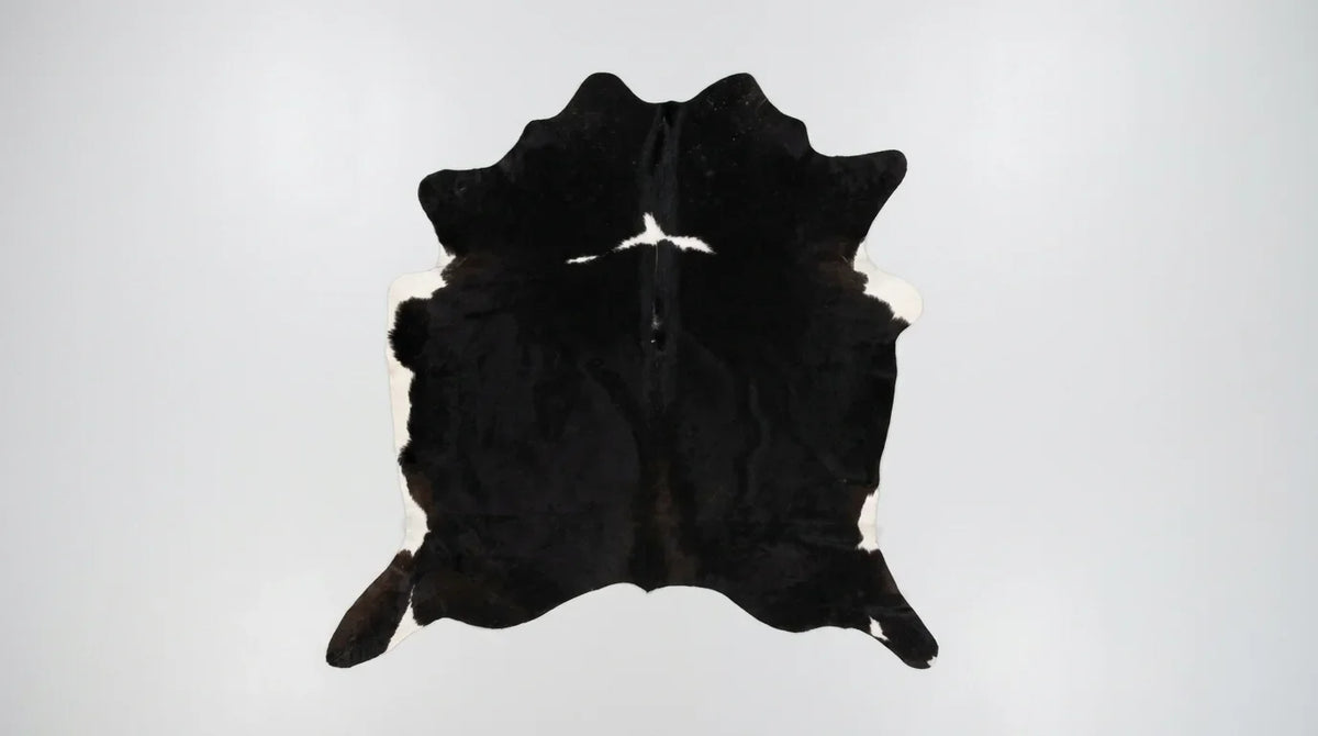 Black and White cowhide rug flat lay on white background showing full hide shape