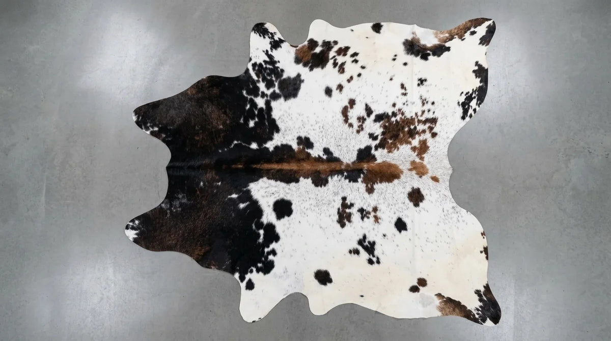 Black and White cowhide rug flat lay on white background showing full hide shape