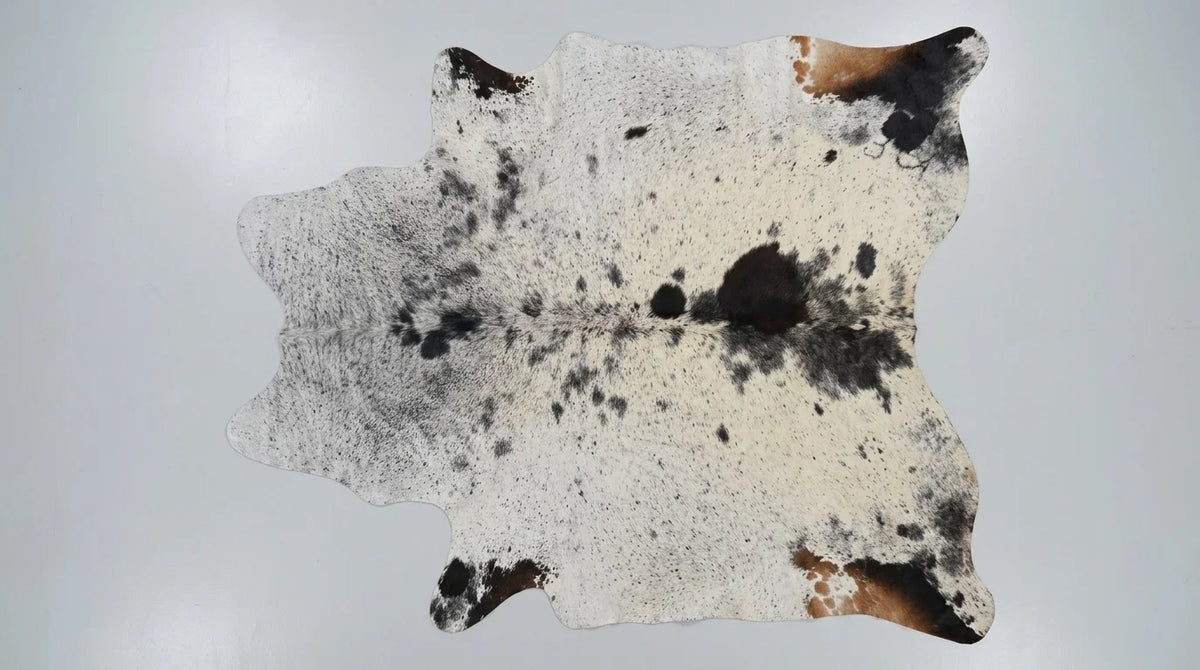 Black and White cowhide rug flat lay on white background showing full hide shape