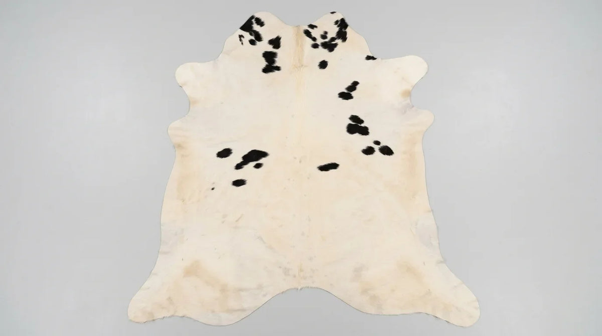 Black and White cowhide rug flat lay on white background showing full hide shape