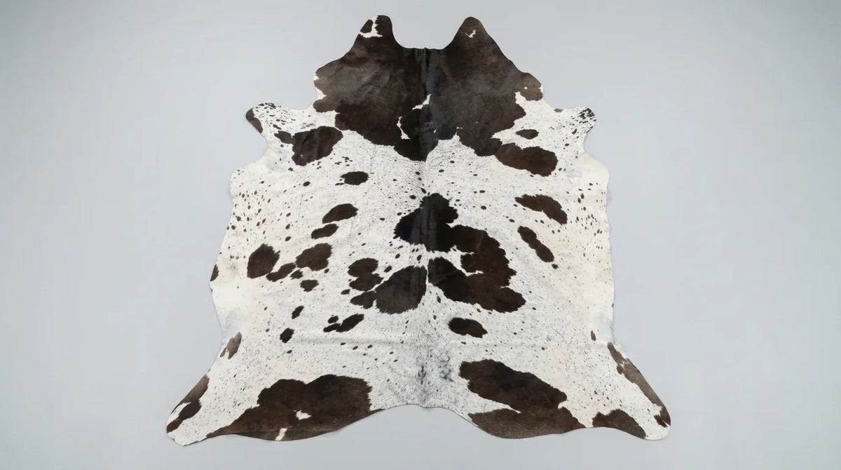 Black and White cowhide rug flat lay on white background showing full hide shape