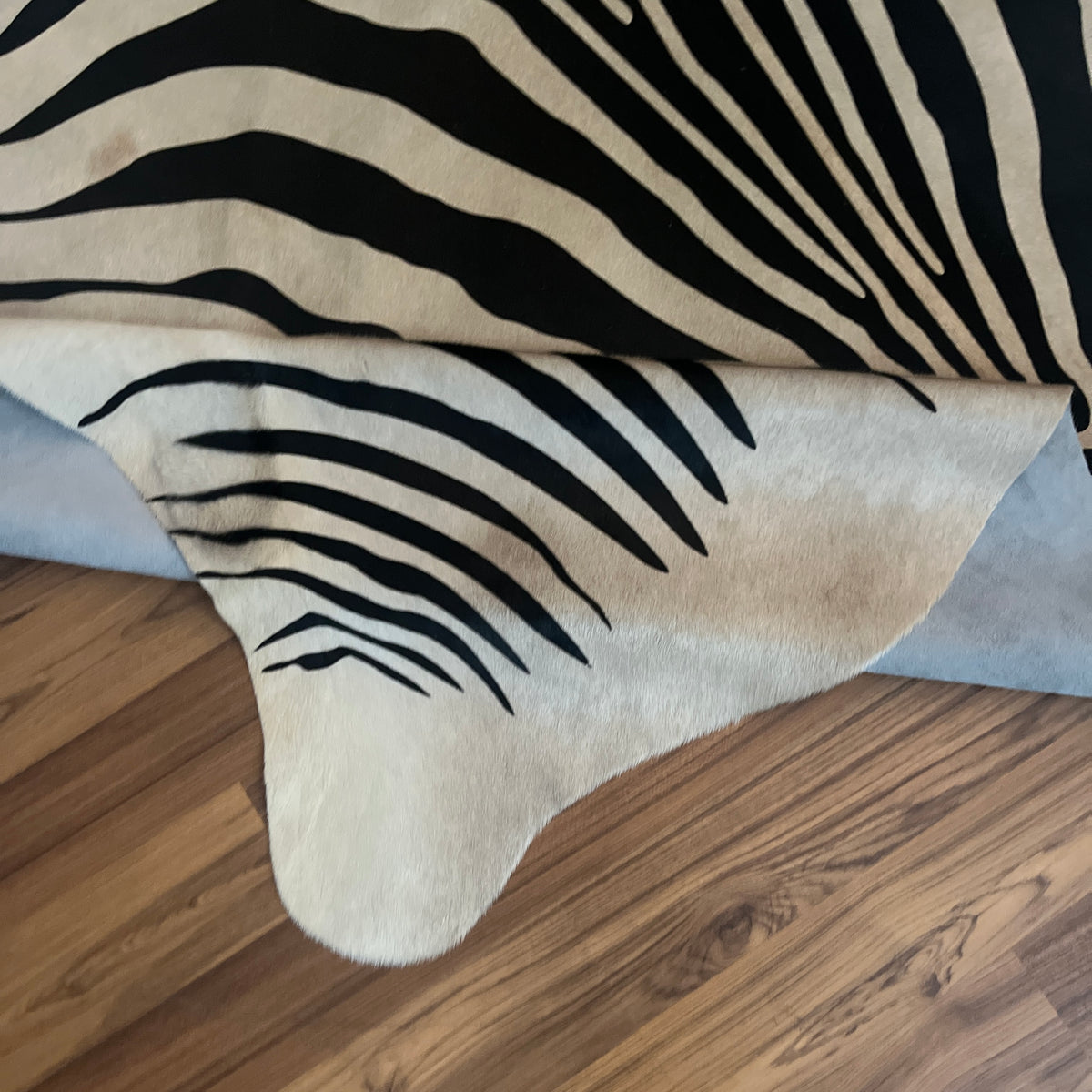 Close-up texture of Black and White zebra print cowhide rug — Bold black stripes radiating from center over cream-white base,
