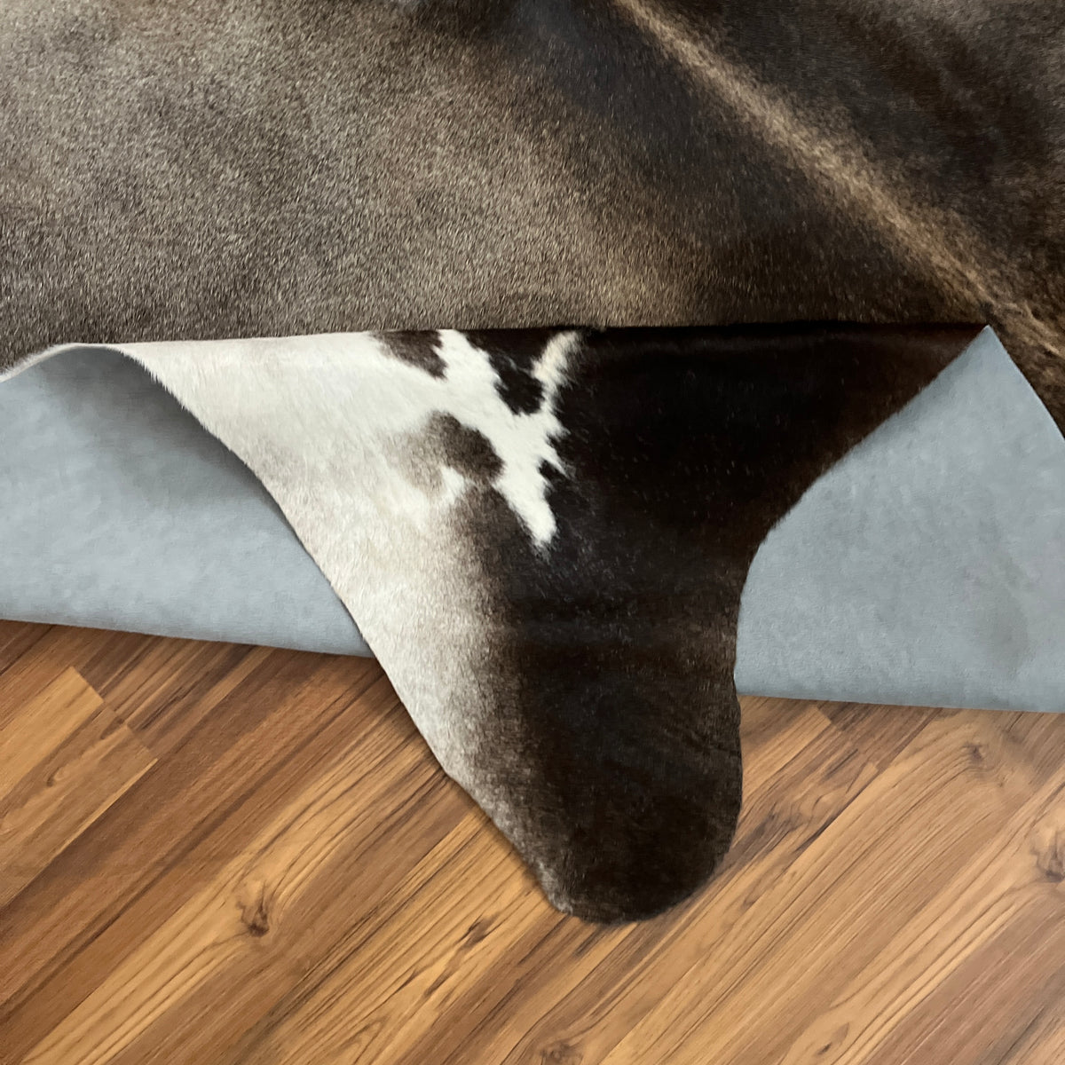 Close-up texture of Black and White cowhide rug — Large irregular dark patches with white undersides and cream transitional z