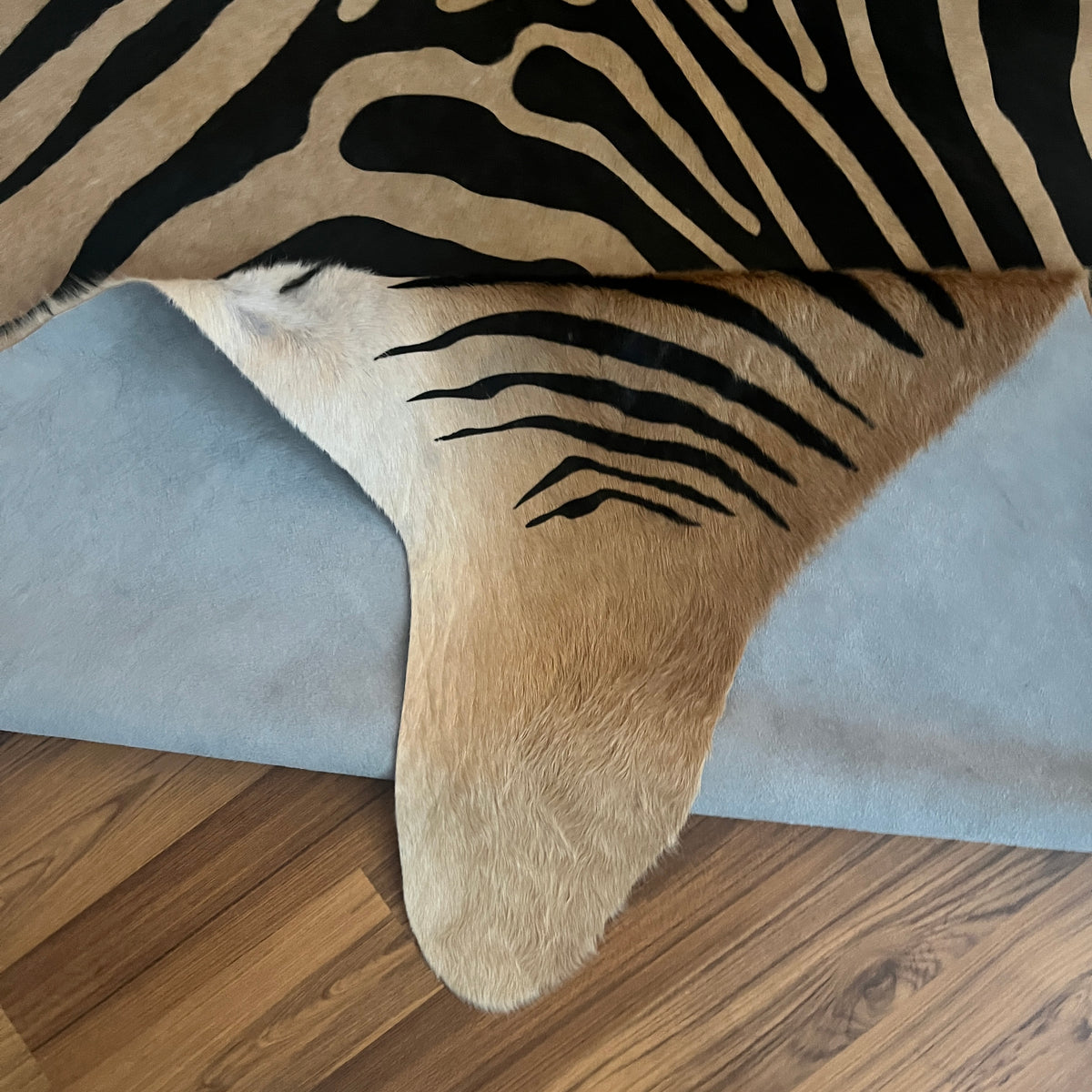 Close-up texture of Black and White zebra print cowhide rug — Bold black stripes radiating from center spine over cream-white