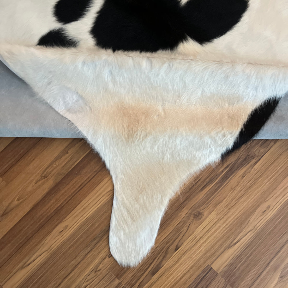 Close-up texture of Black and White cowhide rug — Large irregular black patches scattered across cream-white base