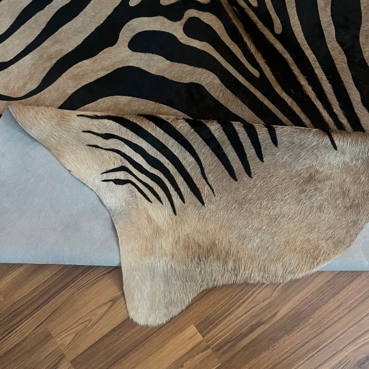 Close-up texture of Black and White zebra print cowhide rug — Bold black stripes radiating from center over cream and white b