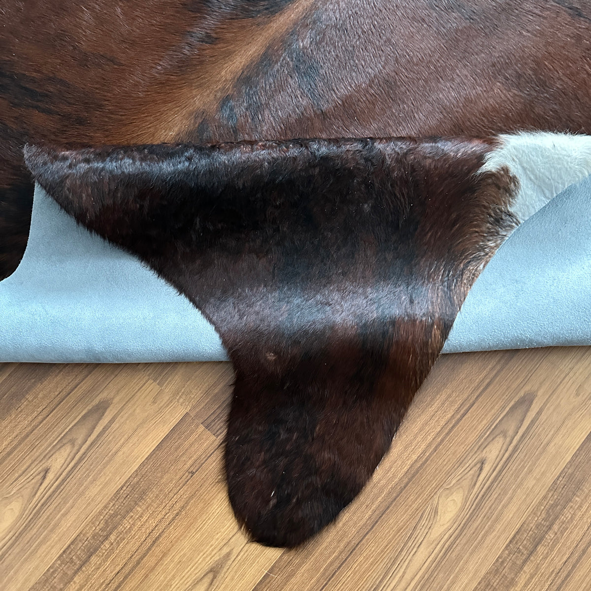 Close-up texture of Black and White cowhide rug — Large irregular dark brown patches with white markings on shoulders and hin