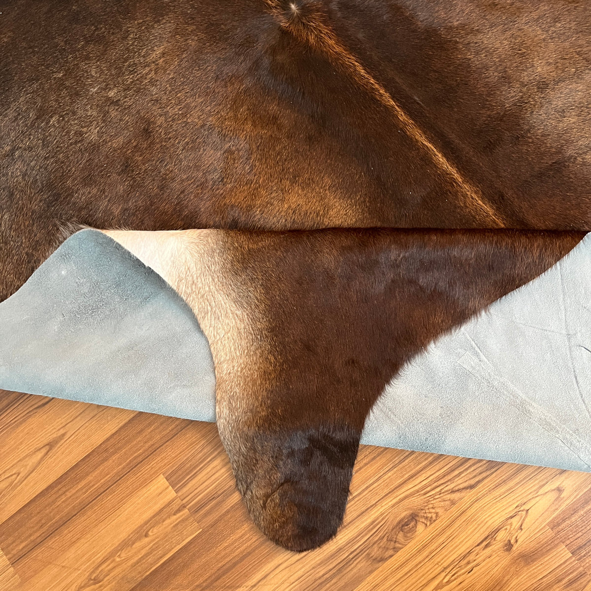 Close-up texture of Black and White cowhide rug — Large irregular dark brown patches with white markings on sides and lower b