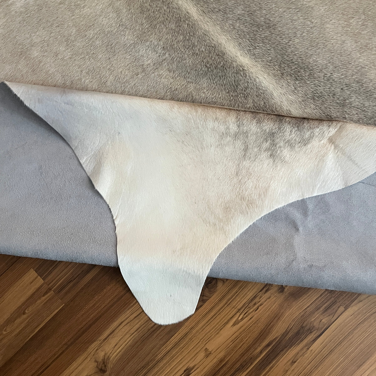 Close-up texture of Black and White cowhide rug — Large irregular dark patches over cream and white base with natural gradati