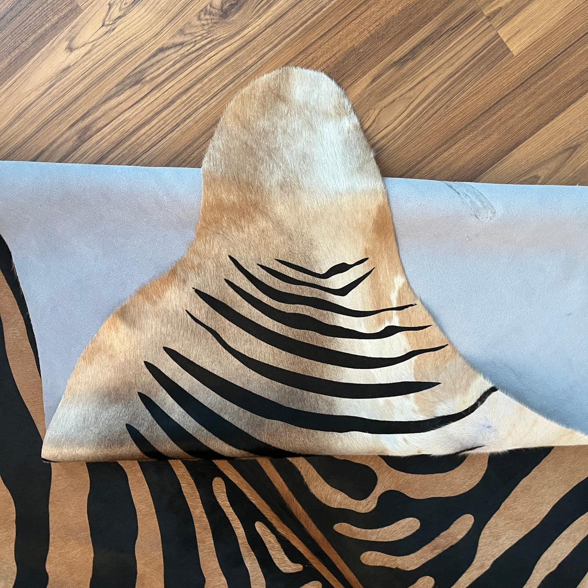 Close-up texture of Black and White zebra print cowhide rug — Bold radiating zebra stripes in black and cream over natural hi