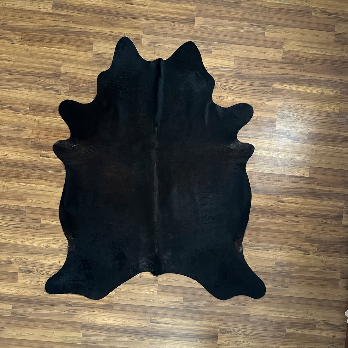 Black solid black cowhide rug, full overhead view — Uniformly black with minimal natural variation