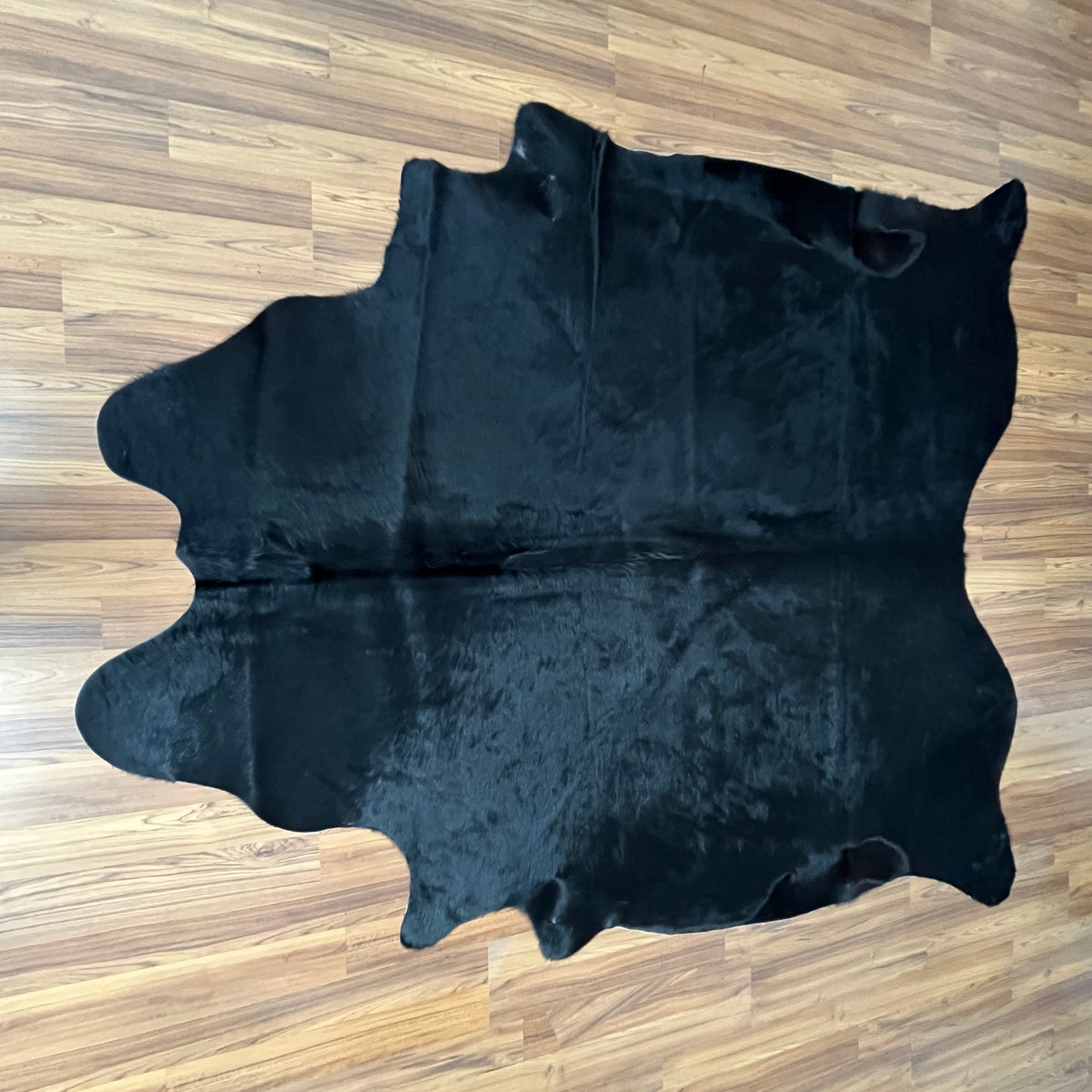 Black solid black cowhide rug, full overhead view — Uniformly deep black with minimal natural markings