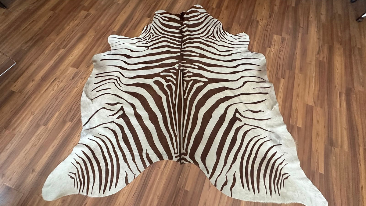 Brown and White zebra print cowhide rug, full overhead view — Bold radiating zebra stripes in dark brown over cream-white bas