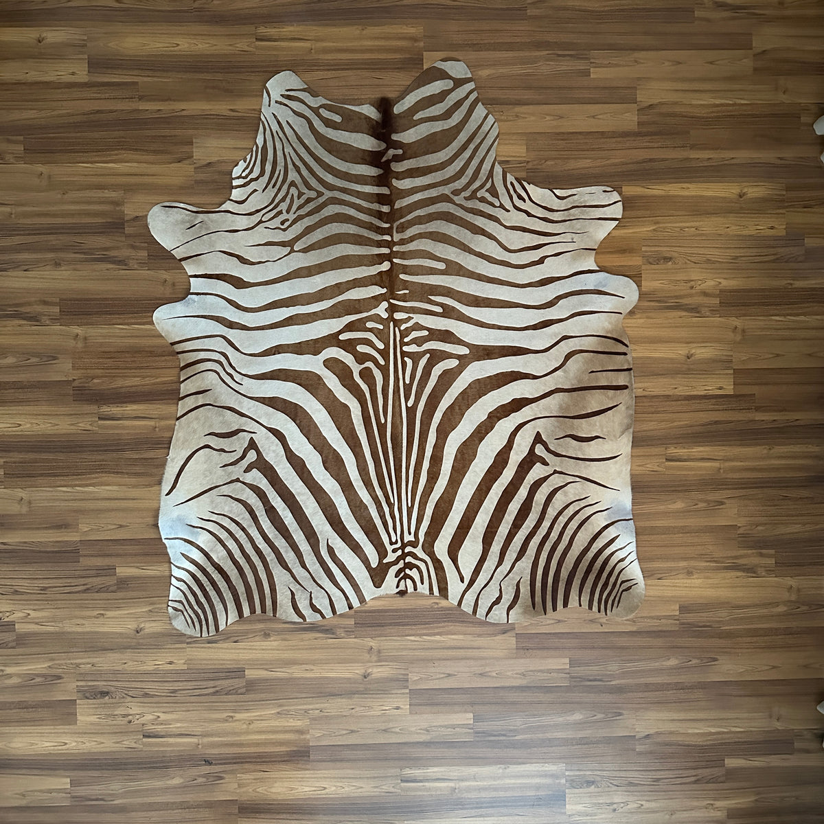 Brown and White zebra print cowhide rug, full overhead view — Bold radiating zebra stripes in dark brown over cream base
