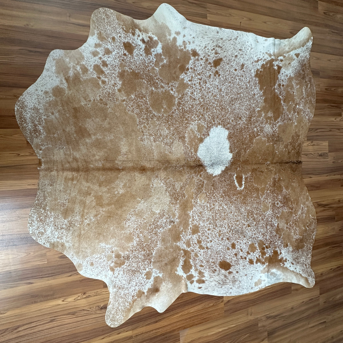 Brown and White cowhide rug, full overhead view — Large irregular tan and chocolate brown patches over cream and white base