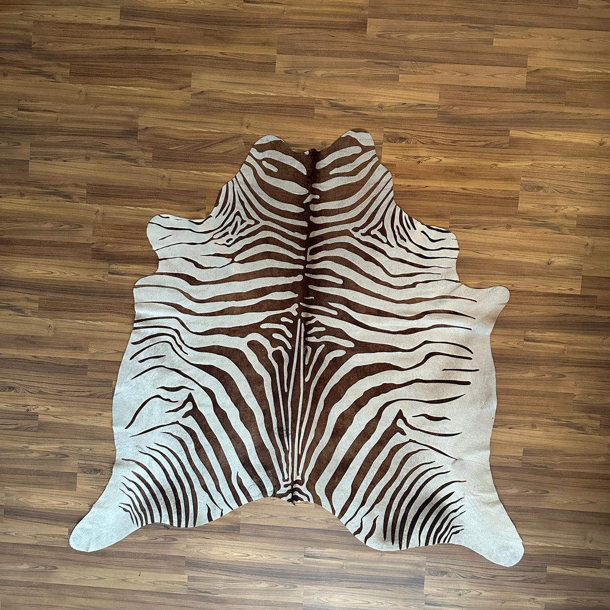Brown and White zebra print cowhide rug, full overhead view — Bold radiating zebra stripes in dark brown flowing across cream