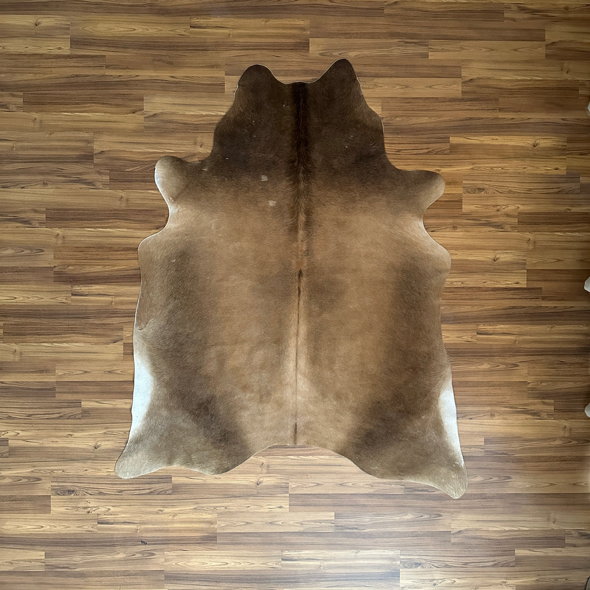 Brown and White cowhide rug, full overhead view — Large irregular chocolate brown patches over cream and white base with natu