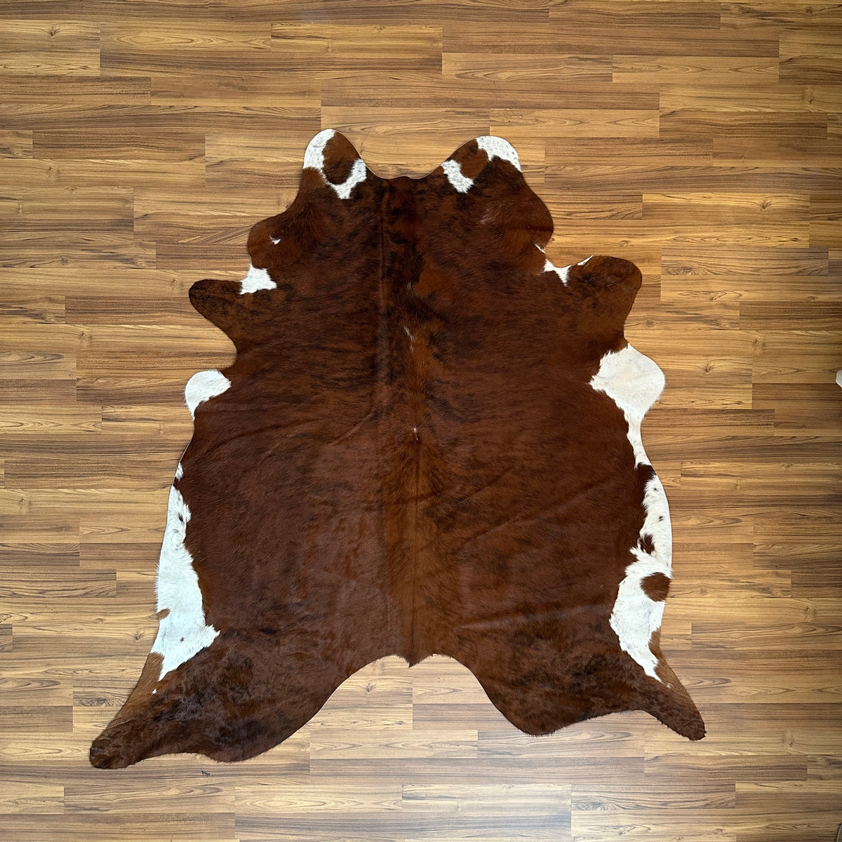 Brown and White cowhide rug, full overhead view — Large irregular dark brown patches with white markings on natural hide