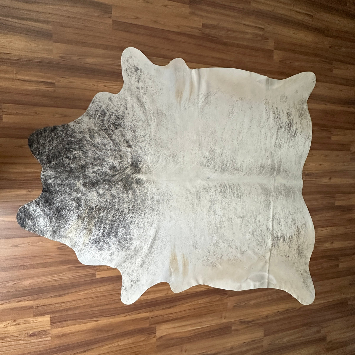 Brown and White cowhide rug, full overhead view — Large irregular dark brown and gray patches over cream and ivory base