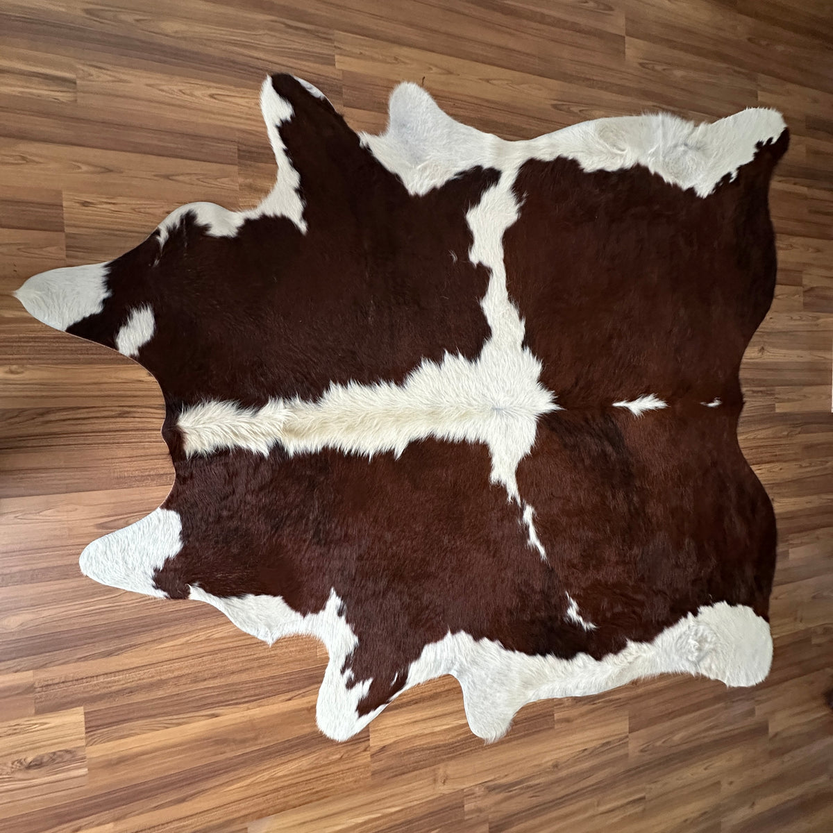 Brown and White cowhide rug, full overhead view