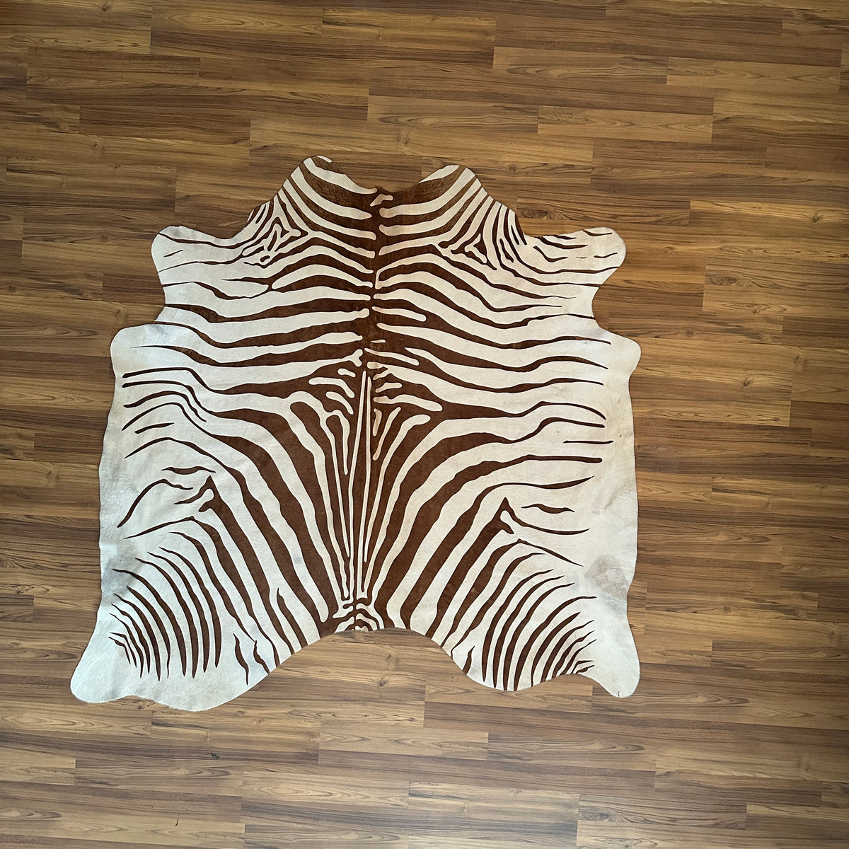 Brown and White zebra print cowhide rug, full overhead view — Bold zebra-stripe pattern with radiating dark brown stripes on 