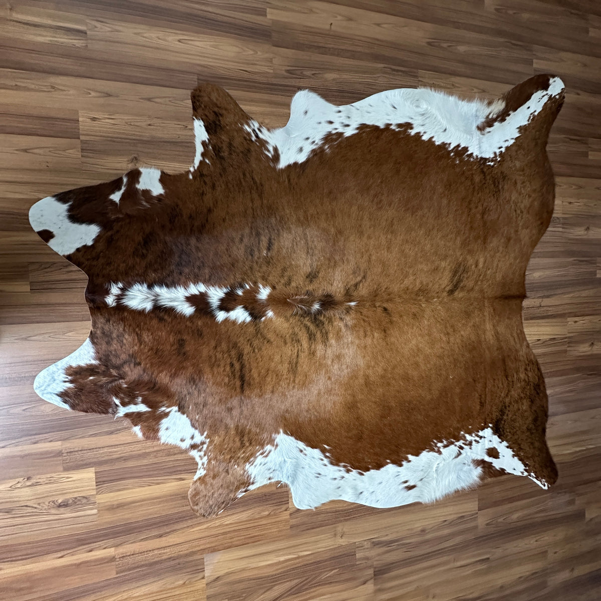 Brown and White cowhide rug, full overhead view — Large irregular chocolate brown patches with white markings and a distincti