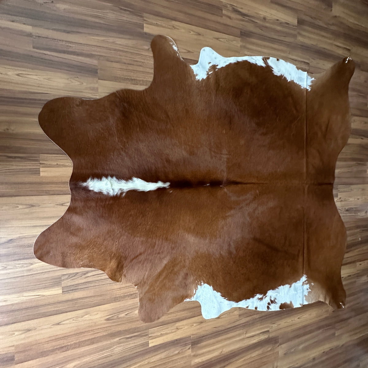 Brown and White cowhide rug, full overhead view — Large irregular chocolate brown patches with white markings over tan base
