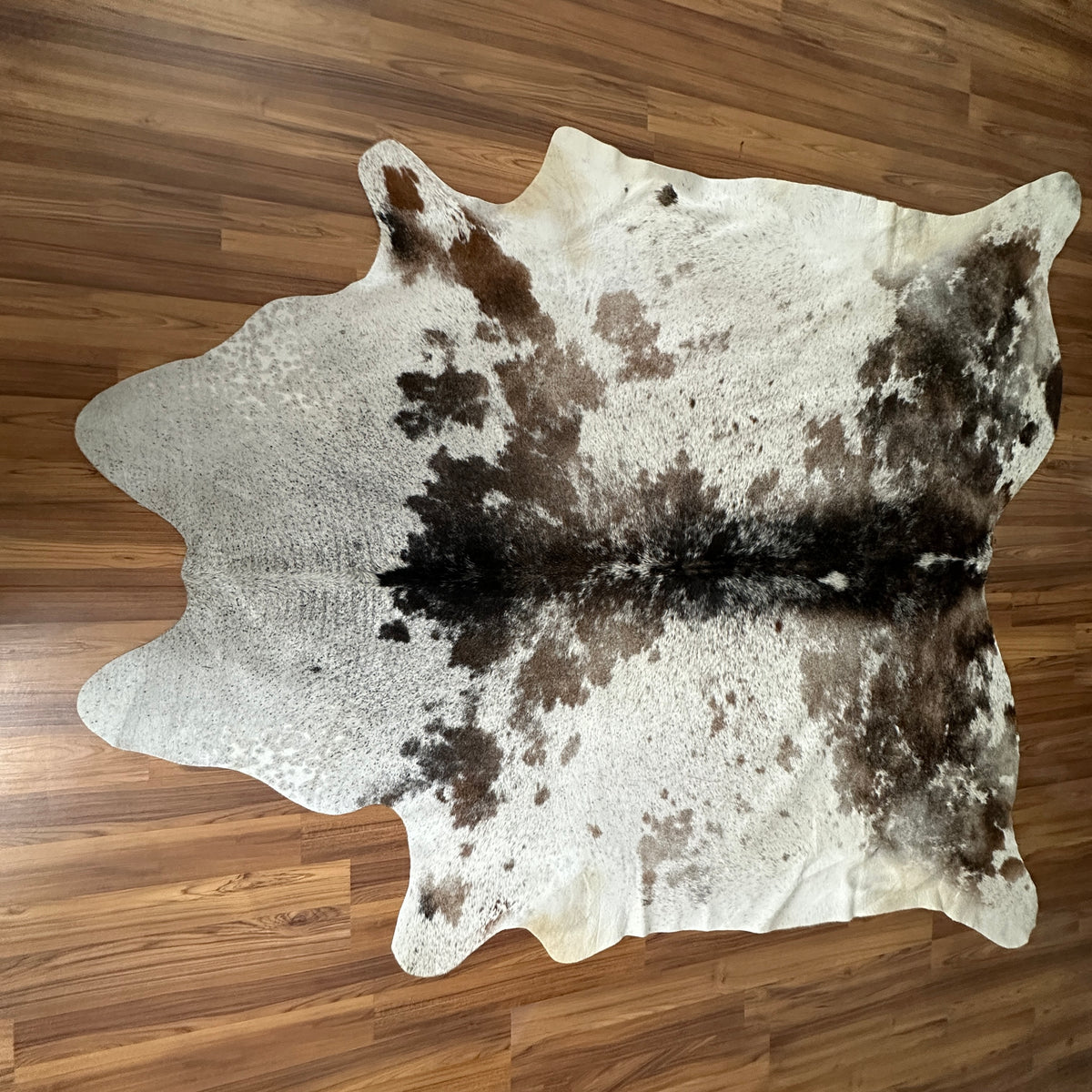 Brown and White cowhide rug, full overhead view — Large irregular chocolate brown patches over cream and white base