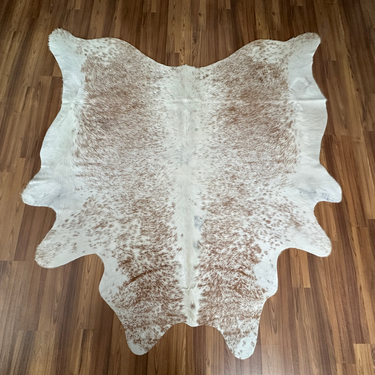 Brown and White cowhide rug, full overhead view — Large irregular tan and brown patches over cream and white base